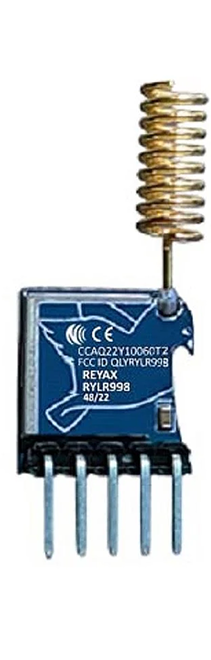 LoRa module
